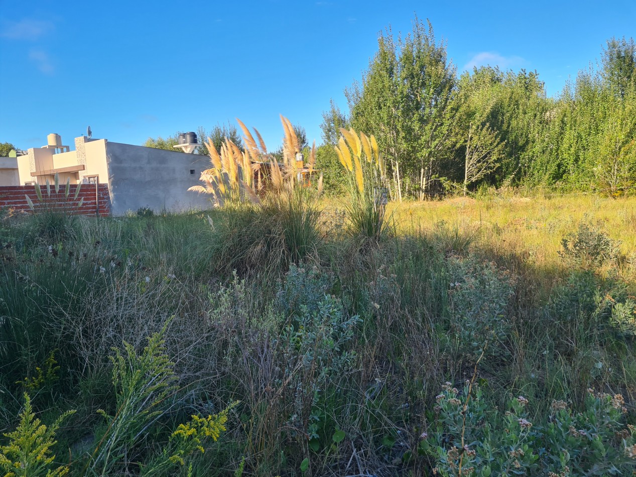 LOTE EN MAR DEL TUYU - EXCELENTE UBICACION Y ENTORNO