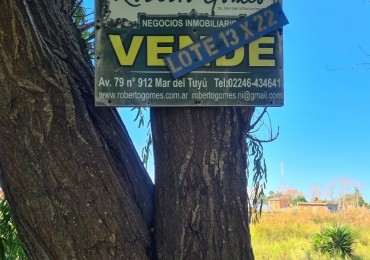 Lote a 3 cuadras De Av.79 (acceso principal)