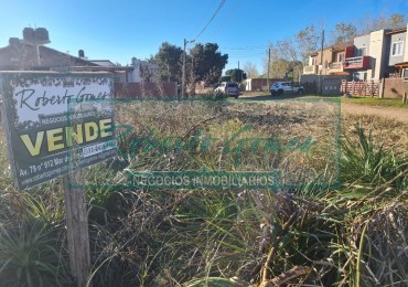 LOTE BALDIO en Mar del Tuyu